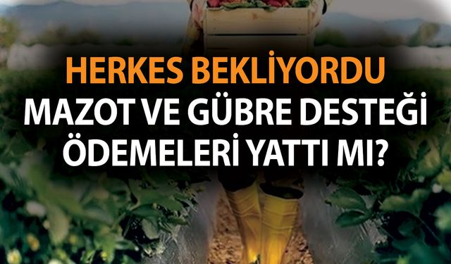 Mazot ve gübre desteği ödemeleri yattı mı? Mazot ve gübre destekleri ödendi mi? Herkes bekliyordu