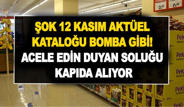 ŞOK 12 Kasım aktüel kataloğu indirimleriyle sporcular bayram etti! Acele edin duyan soluğu kapıda alıyor!