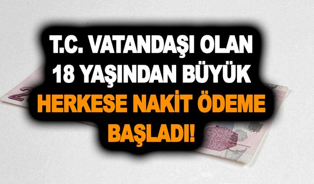 T.C. vatandaşı olan 18 yaşından büyük olan herkese nakit ödeme başladı! Almak çok basit