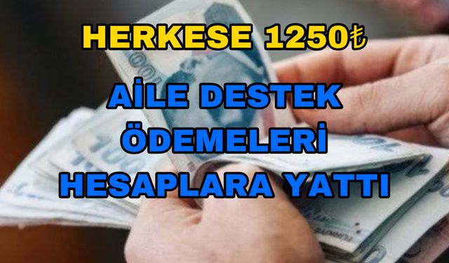 Aile Destek Ödemeleri Hesaplara Yattı! Herkese 1250 TL Ödeme!