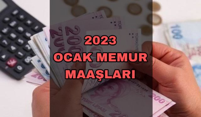 TÜİK Enflasyon Rakamlarını Açıkladı! Memur Zammı Belli Oldu! İşte Ocak 2023 Maaşları!