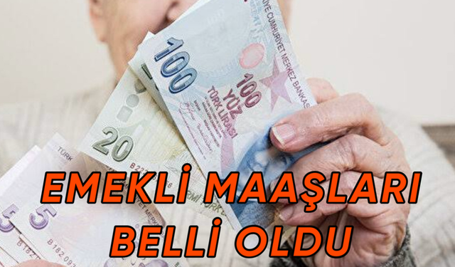 Ocak 2023 Emekli Zammında Son Dakika! Zam Oranı Netleşti! Emekli Maaşlarına Ne Kadar Zam Yapılacak?