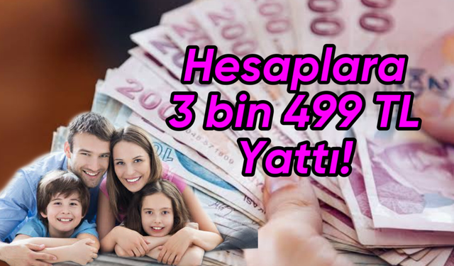 Aile Bakanı Derya Yanık Müjdeyi Verdi! Toplam 3 Milyar 499 Milyon TL Hesaplara Yattı!