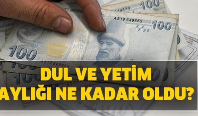 2023 Yılında Dul ve Yetim Aylığı Ne Kadar Oldu? İşte Zamlı 2023 Dul ve Yetim Maaşları!