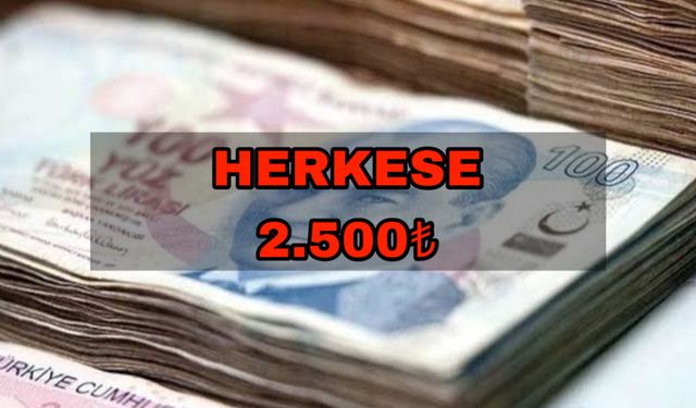 Aile ve Sosyal Hizmetler Bakanlığı’ndan Müjde! Herkese 2.500 TL Destek!