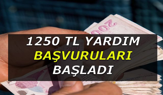 1.250 TL'den Başlayan Yardım Ödemeleri İçin Başvuru Ekranı Açıldı