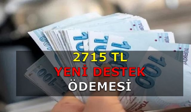 2715 TL Yeni Destek Ödemesi İhtiyaç Sahipleri İçin Yapılacak