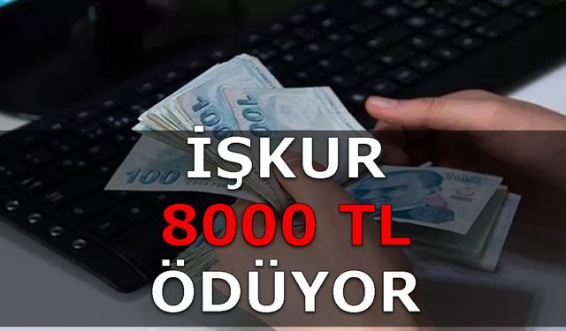 İŞKUR bu kişilere 8000 TL ödeme yapacak! PTT’den ödenecek nakit destek için 30 gün başvuru süresi var