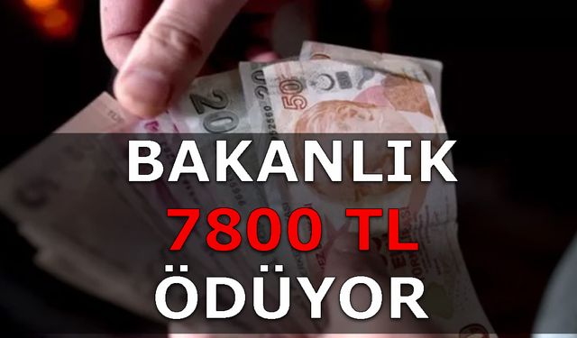 Bakanlıktan 7800 TL Yardım! Çocuğu Olanları İlgilendiriyor Dikkat