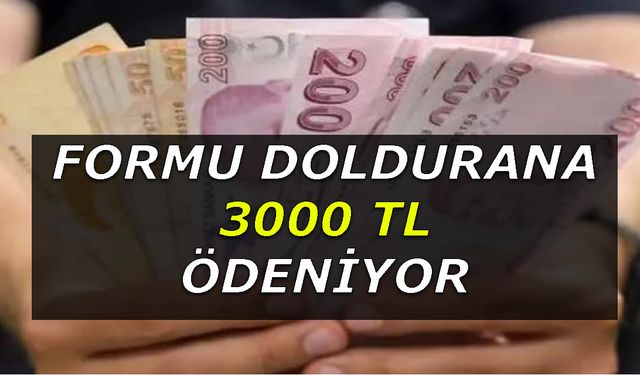 Vatandaşa Müjdeli Haber Sonunda Geldi Formu doldulanlara 3000 TL ödeme