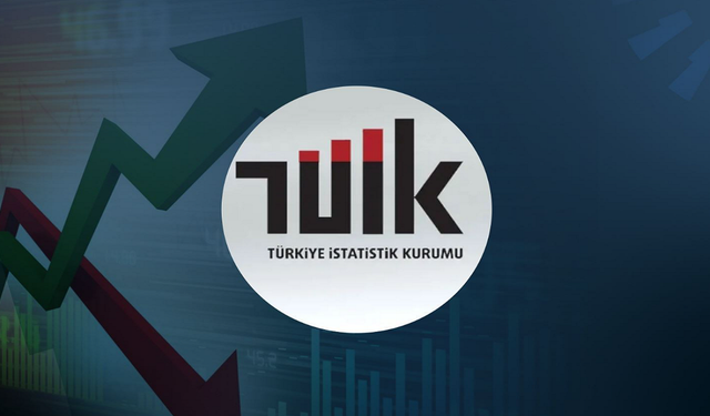 TÜİK İşsizliğin Azaldığını Duyurdu ve "İşgücü İstatistikleri 2022" Raporunu Yayınladı!