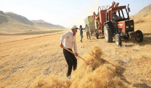 Çiftçiye Mayıs 2023 Mazot ve Gübre Destek Ödemesi Yapılıyor! Bakanlık Mayıs Ayı Çiftçi Destek Parasını Duyurdu!