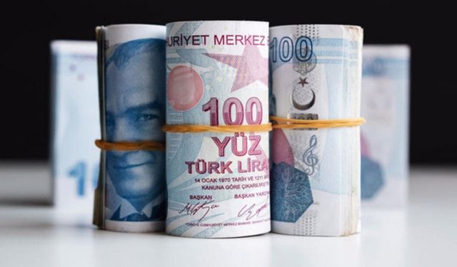 Hükümet Kamu Bankaları Aracılığıyla Faizleri Düşürdü! Üç Bankadan Sıfıra Yakın Faizle 300 Bin TL Kredi Müjdesi!