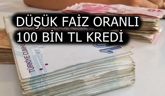 Banka Mayıs Ayı Kredi Duyurusu: İhtiyacı Olana 100 Bin TL Kredi Hazır Şekilde Verilecek! Kredide 36 Aya Varan Vade Seçen