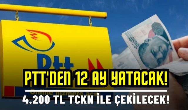 PTT’den TCKN’ye 12 ay yatacak! 4.200 TL