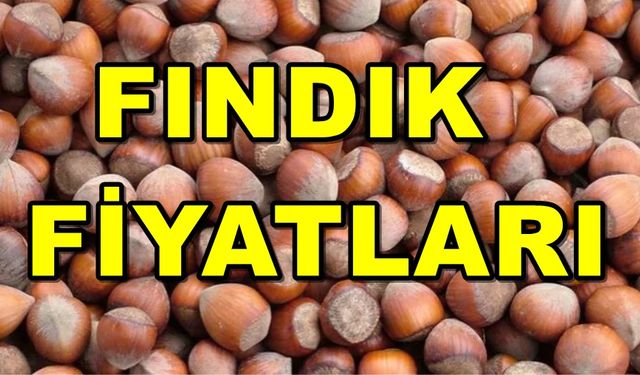 Fındık Fiyatları Hem Üreticiyi Hem Tüketiciyi Zora Soktu! Giresun, TMO, Samsun, Ordu Fındık Fiyat Listesi Yayımlandı...