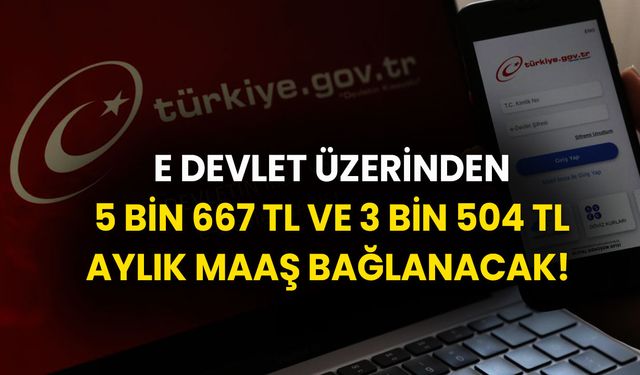 E-devlete bakan kazanır, elması kızarır! 5.bin 667 TL ve 3 bin 504 TL aylık maaş bağlanacak!