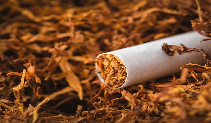 Sigarada ÖTV Zammı Yerine İndirim Kararı! Tütün Üreticilerine Sevindiren Haber Geldi!
